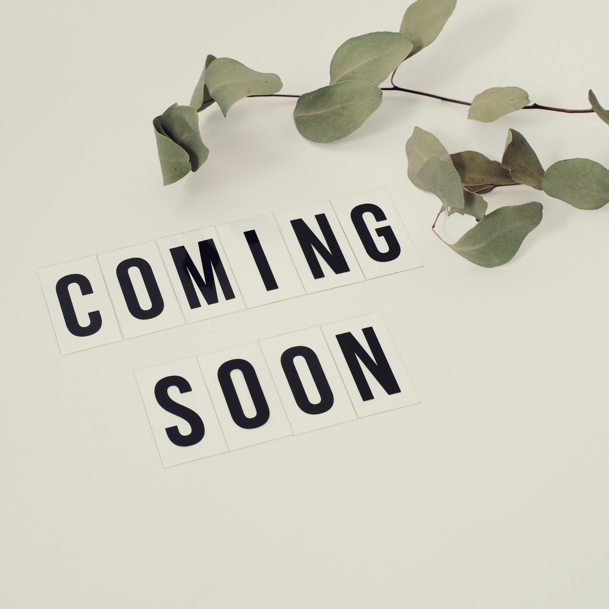 Coming soon-vie-studio-4439444